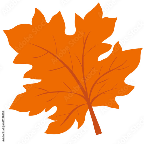 autumn leave color