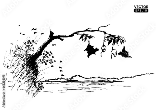 Hand drawn vector illustration. landscape sketch with bats looking for foods on main view. vector formats photo