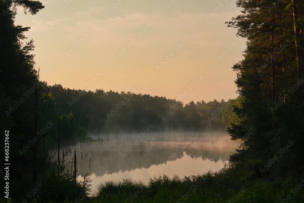 Fototapeta premium Old mining hole filled with water in the middle of the forest in Weisswasser, Germany during sunrise