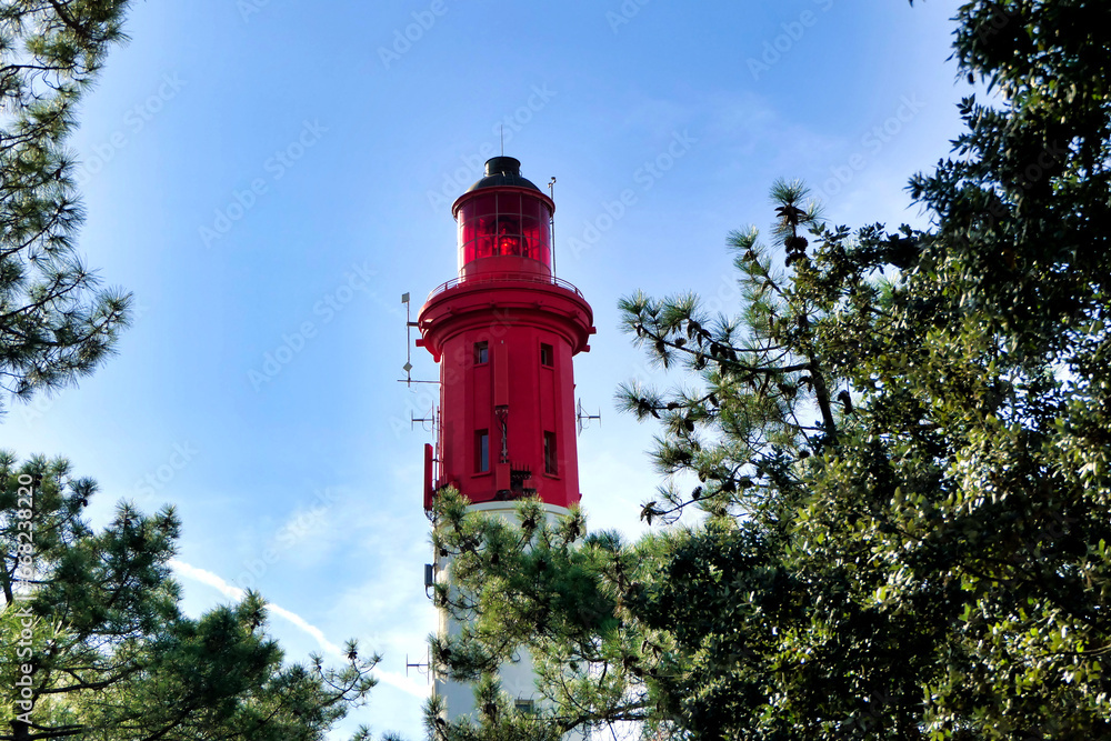 A glimpse of Cap Ferret Lighthouse, 57 metres high, poking through the maritime pines on a peninsula jutting out from Arcachon Bay, France into the Atlantic Ocean
A glimpse of Cap Ferret Lighthouse, 57 metres high, poking through the maritime pines on a peninsula jutting out from Arcachon Bay, France into the Atlantic Ocean