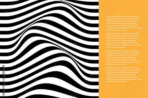 Black and white cover design. Wavy background.