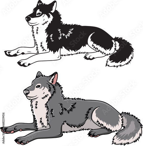 Wolf vector