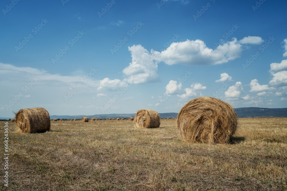 Amazing view with an autumn field full of hay bales and blue sky with fluffy white clouds