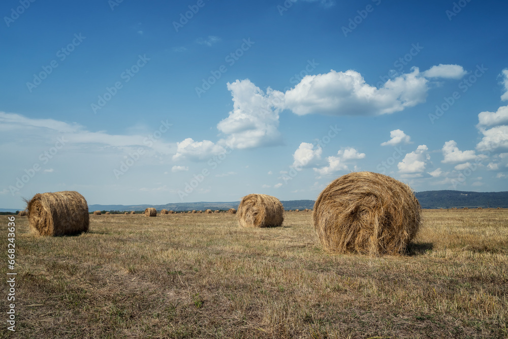 Amazing view with an autumn field full of hay bales and blue sky with fluffy white clouds Amazing view with an autumn field full of hay bales and blue sky with fluffy white clouds
