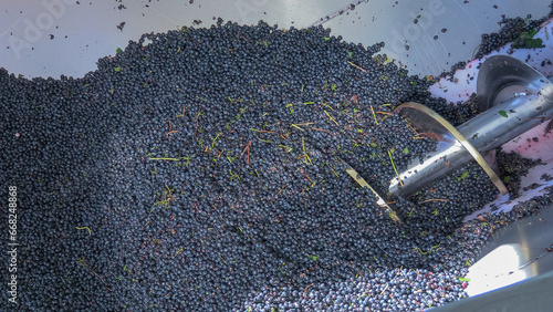 Bild auf Leinwand pressoir à raisins dans une cave, rempli de raisins rouges