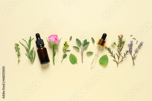 Bottle of essential oil, pipette, different herbs and rose flower on beige background, flat lay