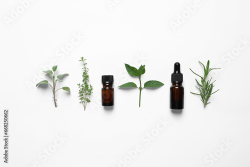Bottles of essential oils and different herbs on white background, flat lay