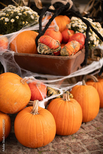 Pumpkins in old cart on shoppingstreet as outdoor halloween decoration.