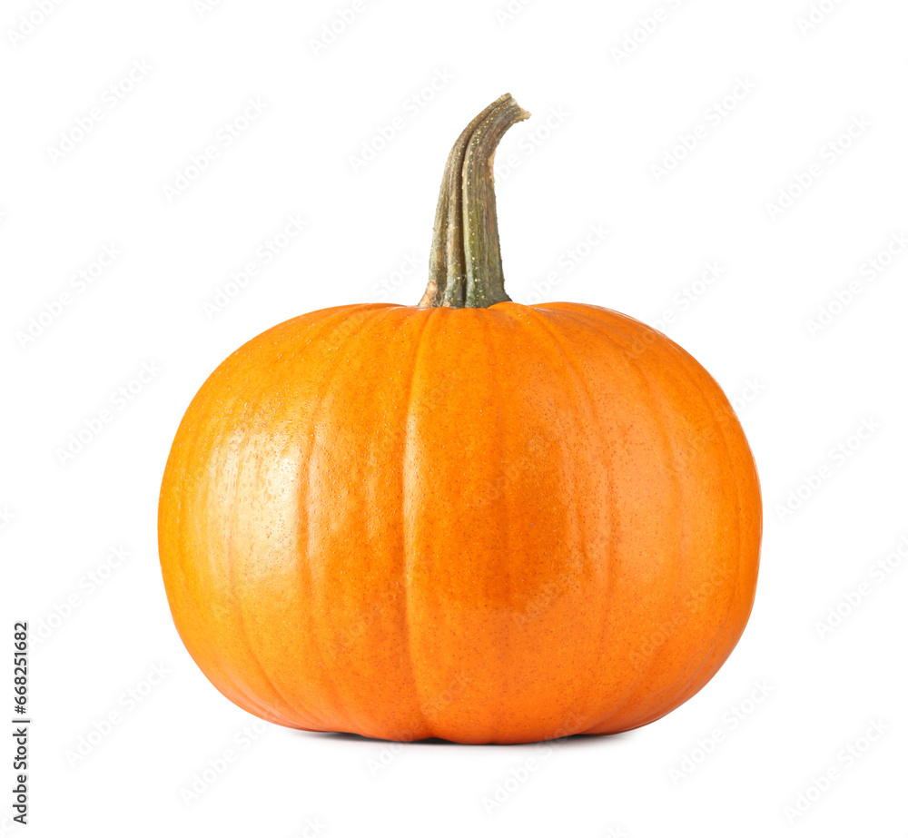 One fresh orange pumpkin isolated on white One fresh orange pumpkin isolated on white