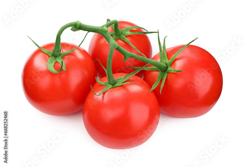 Branch of red ripe tomatoes isolated on white