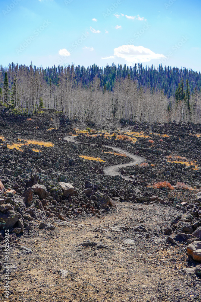 Obraz premium trail in the lava flow