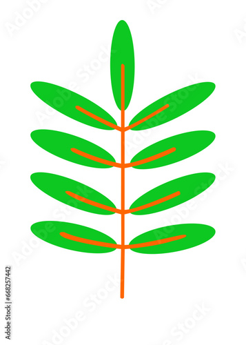 Green tropical leaves clip art set. Isolated elements on a white background