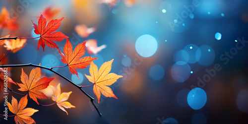 closeup colorful autumn bright autumn leaf, beautiful serene scenery, copy space for greeting card