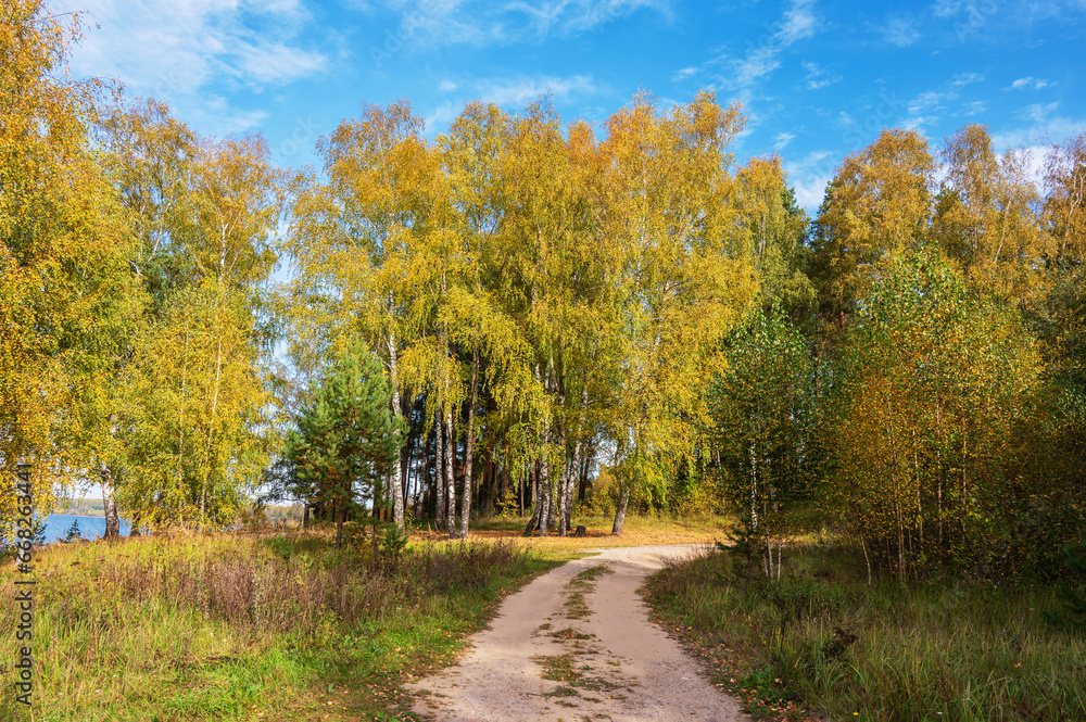 Dirt road in the forest on the riverbank. Autumn landscape.