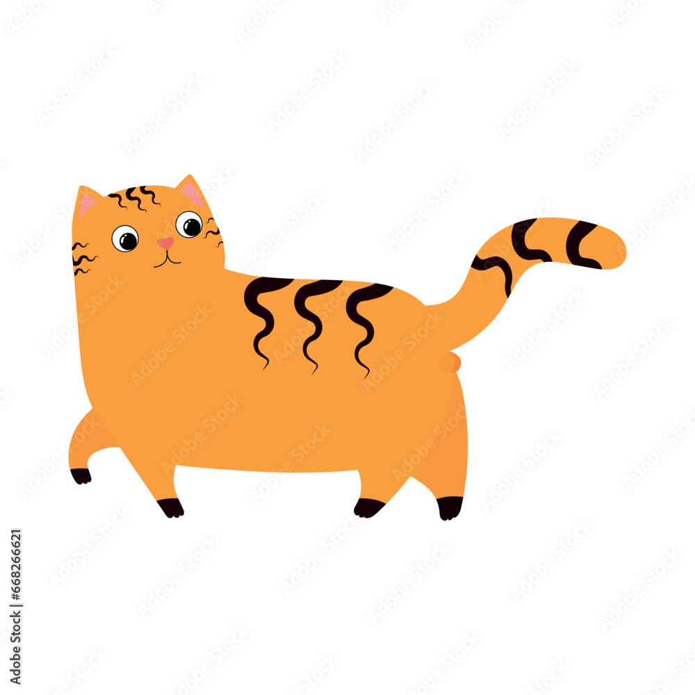 Funny picture with an orange tabby cat. On a white background. Funny picture with an orange tabby cat. On a white background.
