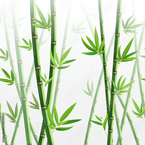 Green bamboo square background with stems and leaves on white. Vector illustration