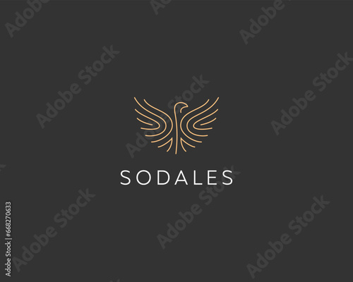 Graceful phoenix bird linear logo. Creative freedom revival symbol. Falcon hawk eagle logotype. Vector illustration.
