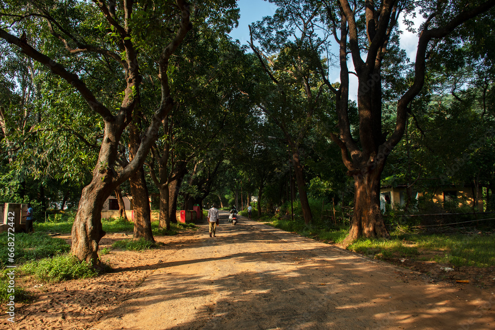 10th October, 2023, Topchachi, Jharkhand, India: Beautiful village road of Bengal with forest both side of the road and few people walking on the road. Selective focus. 10th October, 2023, Topchachi, Jharkhand, India: Beautiful village road of Bengal with forest both side of the road and few people walking on the road. Selective focus.