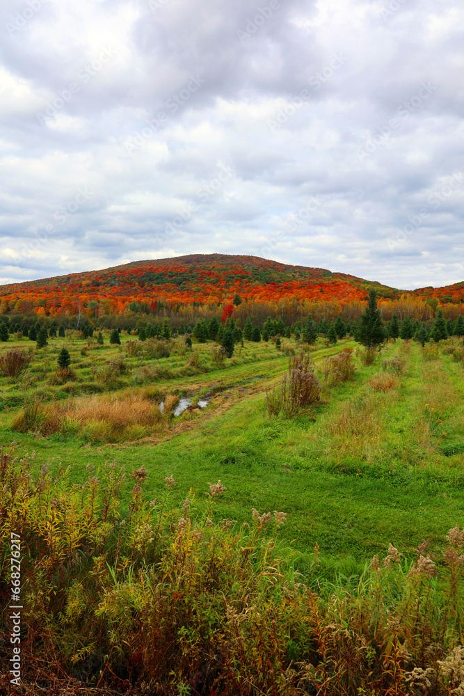 Obraz premium North america fall landscape eastern township Bromont-Shefford Quebec province Canada