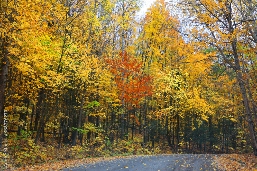 Naklejka premium North america fall landscape eastern township Bromont-Shefford Quebec province Canada