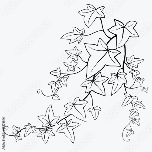 Floral ivy drawing decorative ornament flat design.