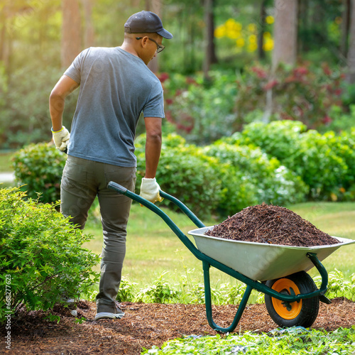 Leinwand Poster unknown Man doing yard work chores by spreading mulch around landscape bushes fr