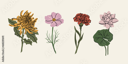 Flat vector chrysanthemum, cosmos, carnation, water lily