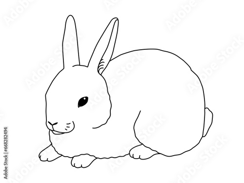White bunny rabbit hare, simple but realistic line drawing. Vector isolated on transparent background © Nera Gilova