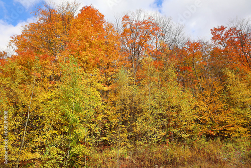 Fototapeta Naklejka Na Ścianę i Meble -  North america fall landscape eastern township Bromont-Shefford Quebec province Canada