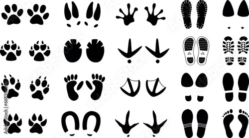 Set of different foot and paw vector 