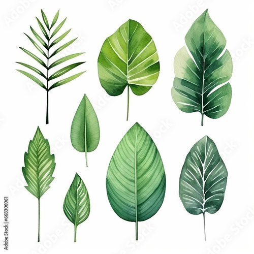 Tropical tree leaves watercolor set for card decor on white background. Generated AI