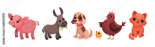 Farm Animals with Pig, Donkey, Dog, Cat and Hen Vector Set