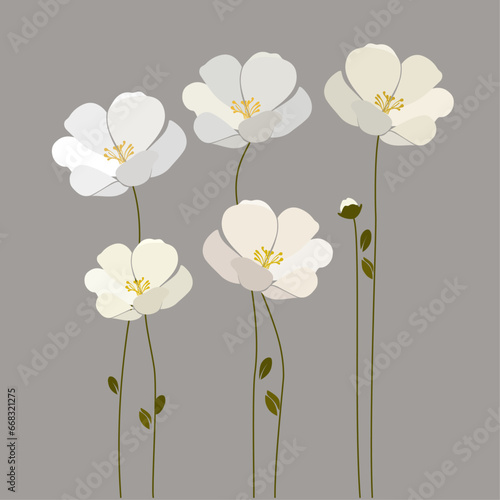 Set of minimalistic flowers in white and beige colors