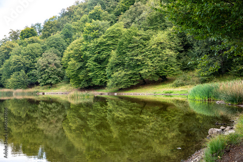 Fototapeta Naklejka Na Ścianę i Meble -  green lake in summer