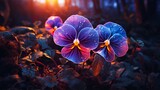 A neon pansy with vivid colors standing out in a dark meadow.