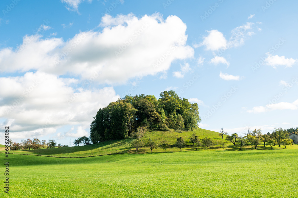 landscape with green pastures lands of Bavaria