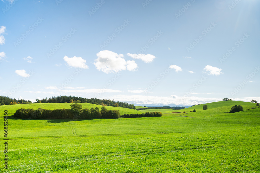 Landscape green meadow pasture in Germany, Baden-Wurttenberg