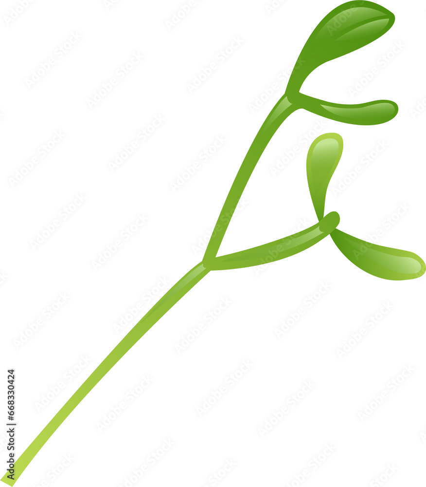 Branch of mistletoe with berries, leaves Mistletoe. for greeting cards, poster, postcard, banner. on transparent, png Branch of mistletoe with berries, leaves Mistletoe. for greeting cards, poster, postcard, banner. on transparent, png