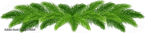 pine garland. Christmas and New Year. naturalness and environmental friendliness. on transparent, png. illustration photo