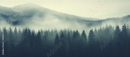 Vintage retro hipster style misty mountain landscape with fir forest and copyspace photo