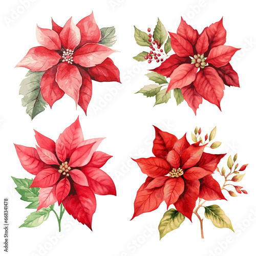 Poinsettia christmas decor watercolor painting set on white background