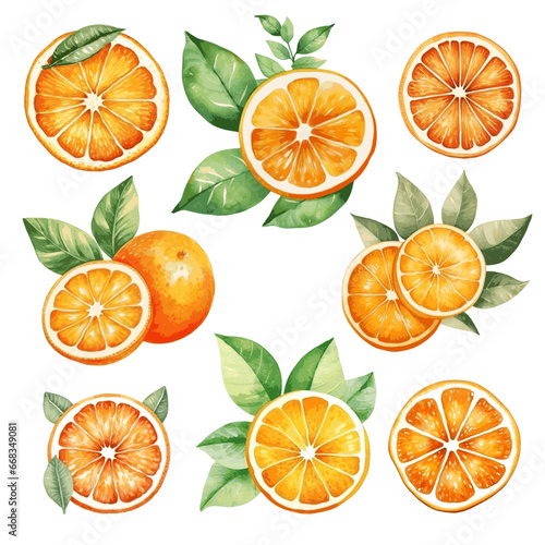 Watercolor orange slice fruit with leaves for food vitamin design on white background.