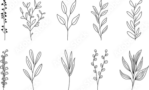 Hand drawn floral wild elements in line art style. Can use for decoration  logo  tattoo  wedding invitation and etc. PNG