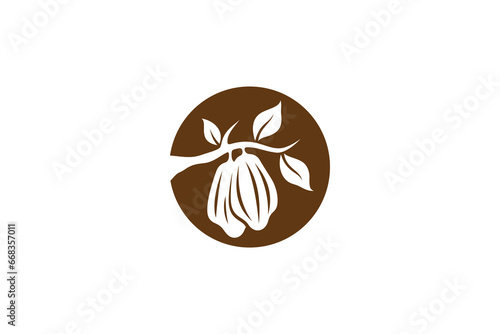cacao chocolate fruit logo design vector illustration