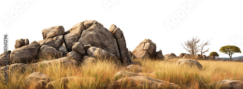 Savanna with faded grass and rocks, cut out