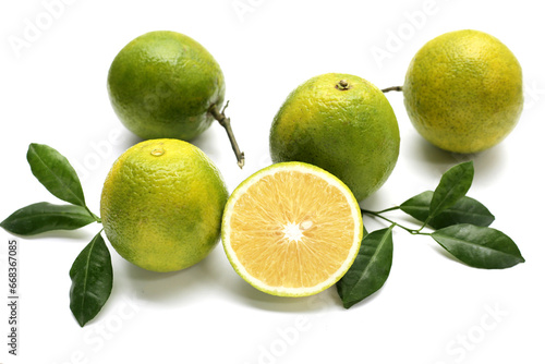 Citrus sinensis  sweet orange fruit on white background