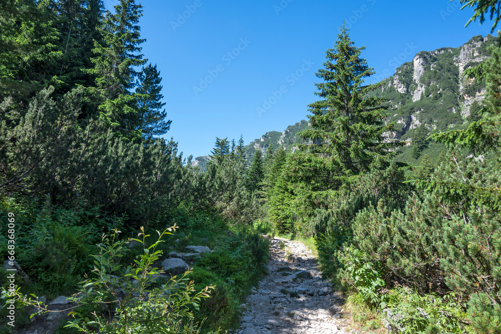 Summer landscape of Rila Mountain, Bulgaria