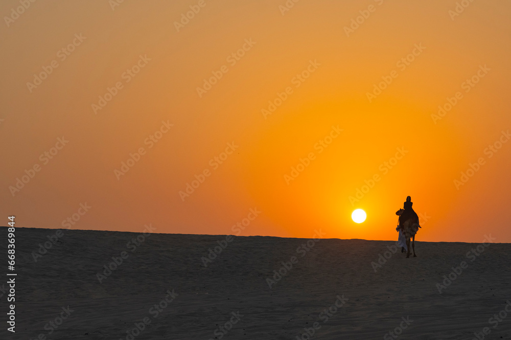 Fototapeta premium Camel Caravan at Sunset Time in the Doha Desert Photo, Doha Qatar