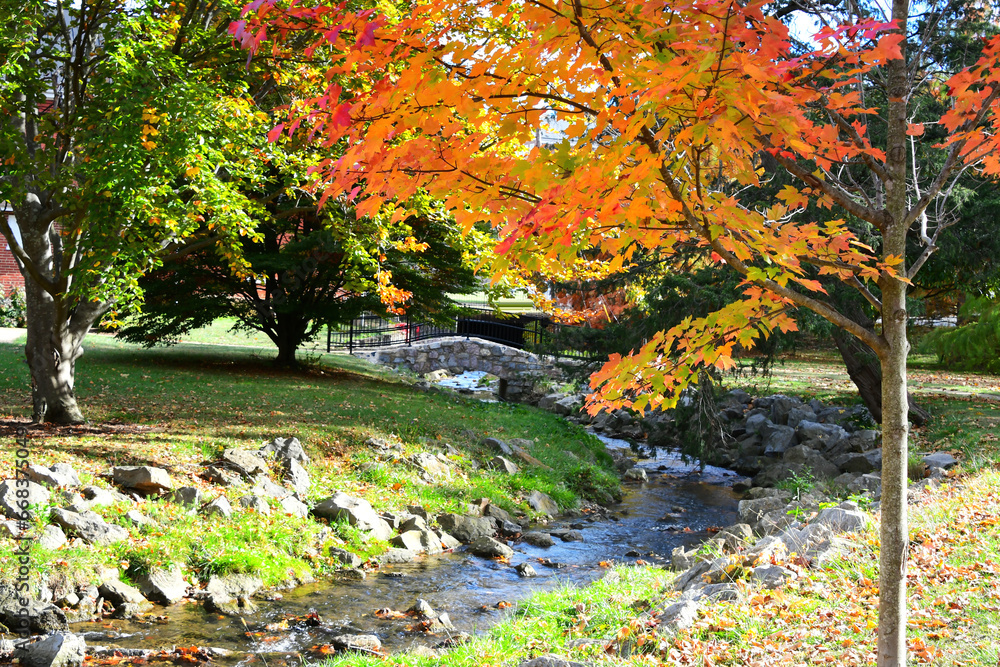 Colorful autumn leaves of maple tree next to a creek with a stone bridge in background
