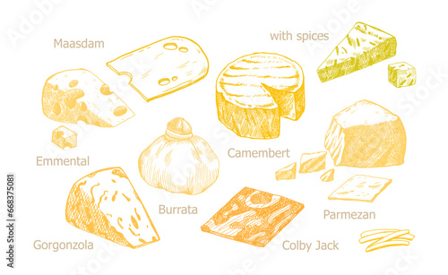 Watercolor different hard kinds cheeses, milk dairy product. Delicious food hand-drawn illustration isolated on white background. Perfect for menu, recipe, label, packaging design